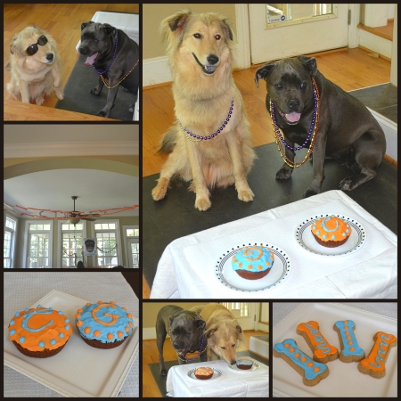 dog birthday party